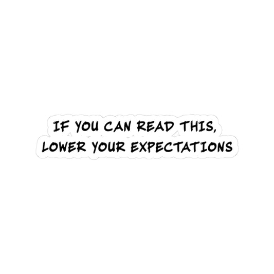 Lower Your Expectations Sticker | Funny Vinyl Decal | Sarcastic Mood Decor